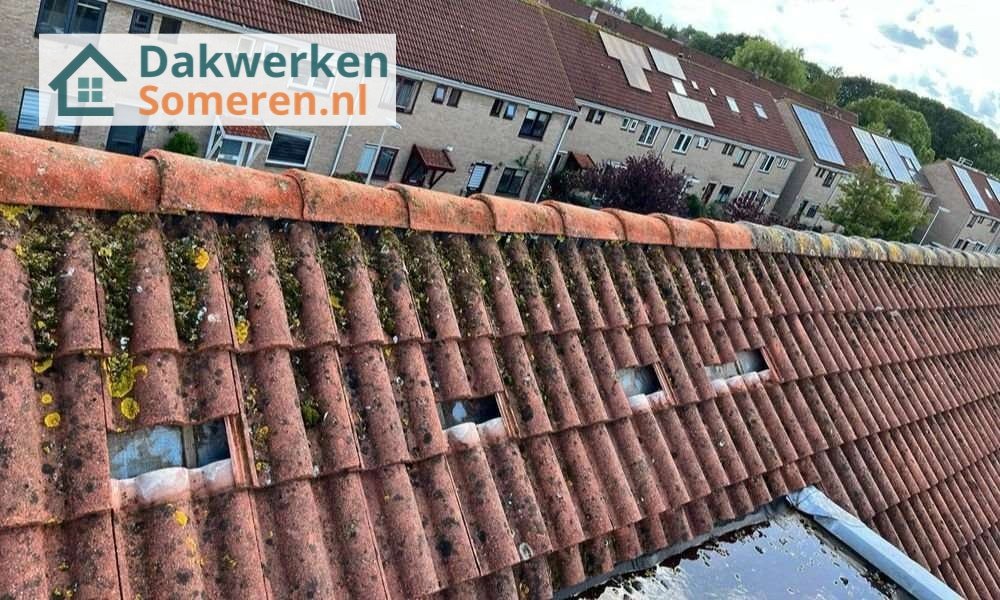 Een dakrenovatie bij oud pannendak Een dakrenovatie bij oud pannendak in Someren